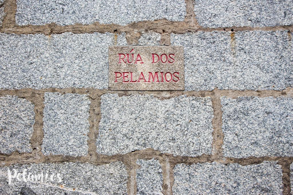 Pelamios House Daire Santiago de Compostela Dış mekan fotoğraf